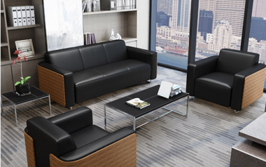 JDZZ-PLUS Leather sofa set