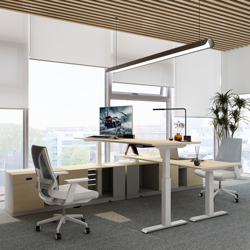 Maizo Electric Standing Desk Staff lift table